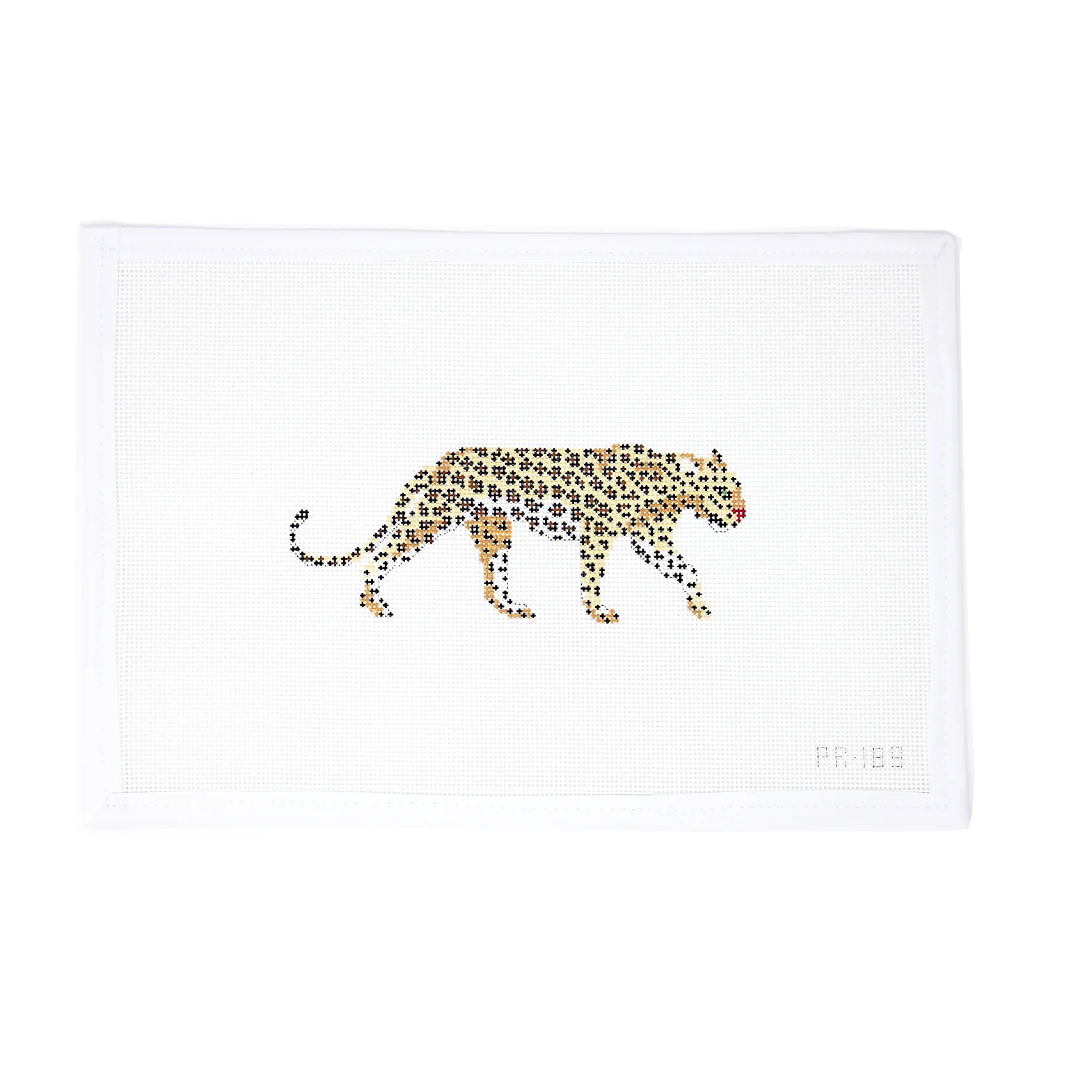 African Leopard