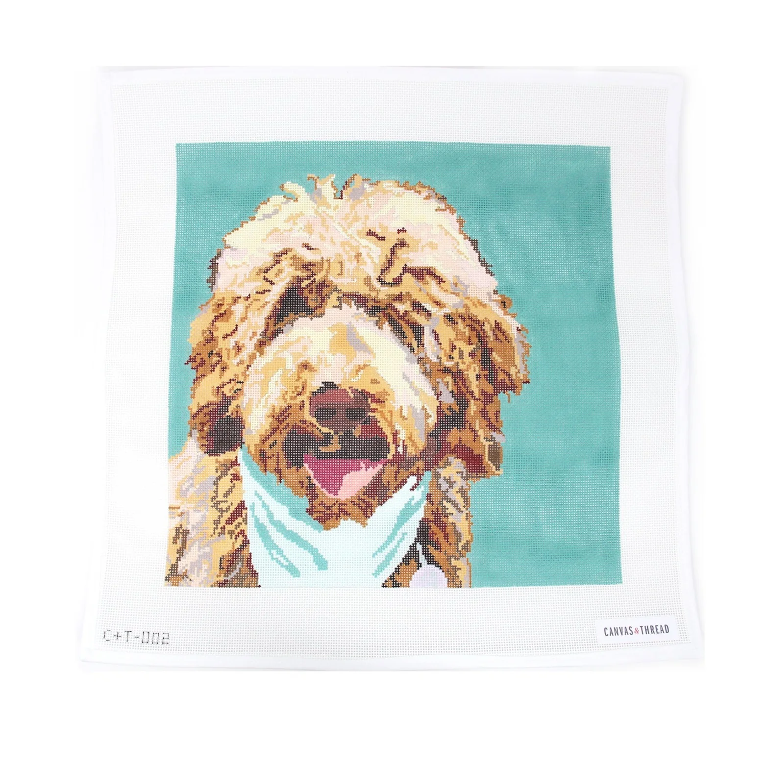 Doodle Dog