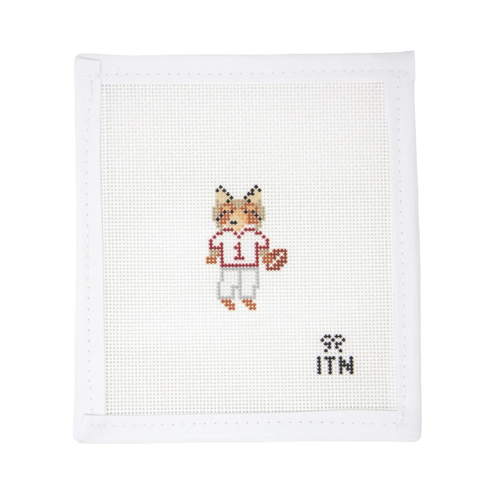 Football Friend TX Collie