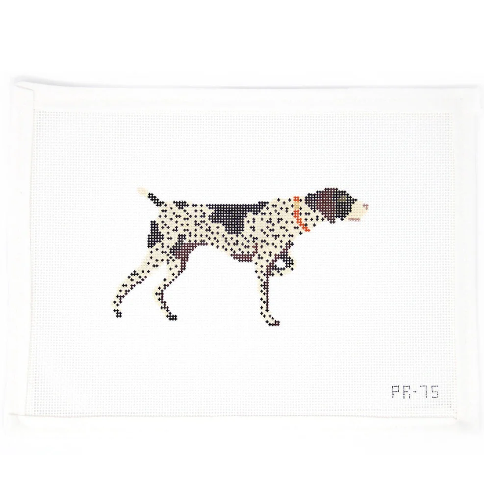 German Shorthaired Pointer