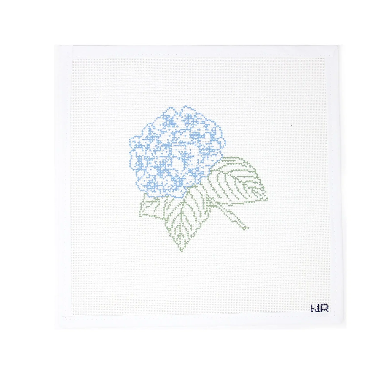 Hydrangea