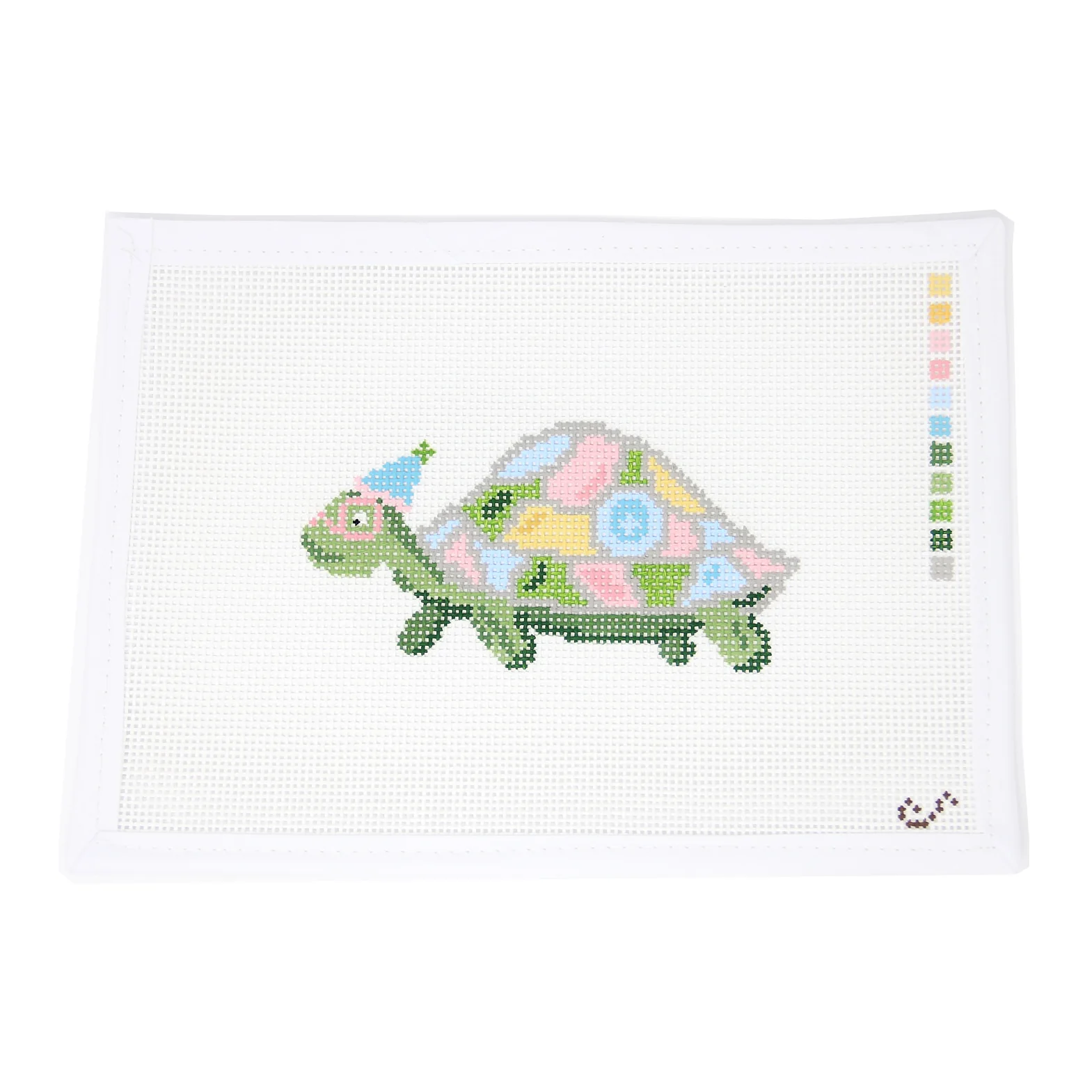 Party Animal Turtle